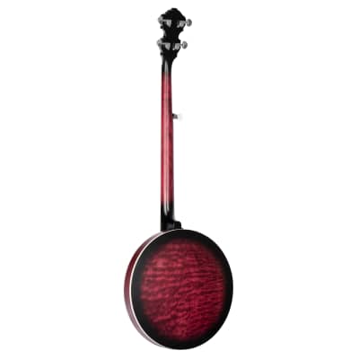 Ortega OBJE400TFR Banjo - Banjo image 2