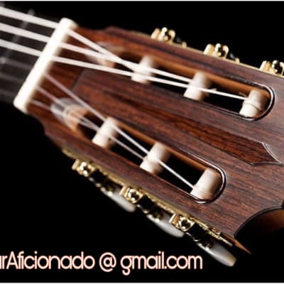 Ashley Sanders Classical Guitar Lattice Braced Cedar / Bolivian Rosewood - New Photos! image 18