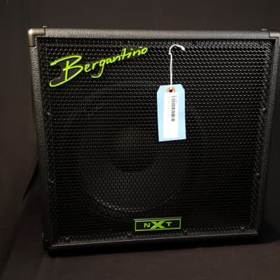 Bergantino ENXT112 NXT Series 1-12" Extension Cabinet image 1