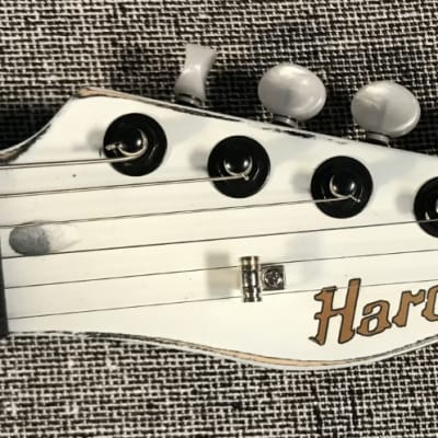 Harden Engineering Paisley Esquire,  hand made, custom guitar, w/hsc image 3