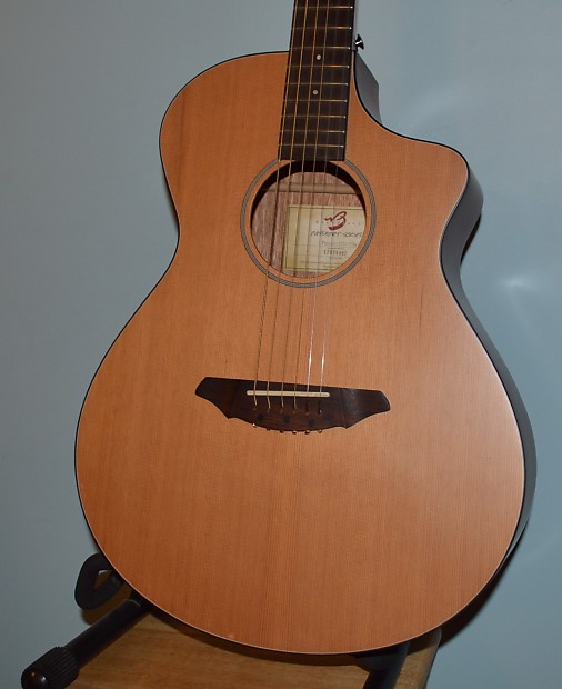 Breedlove passport c250 hot sale