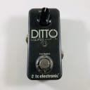 TC Electronic Ditto Looper  *Sustainably Shipped*