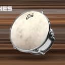Evans '56 Calftone Tom / Snare Drum Batter Head (Sizes 8" To 18") 13"