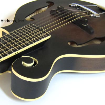 F-Style 12-String Mando-Guitar w/ Hardshell Case image 6