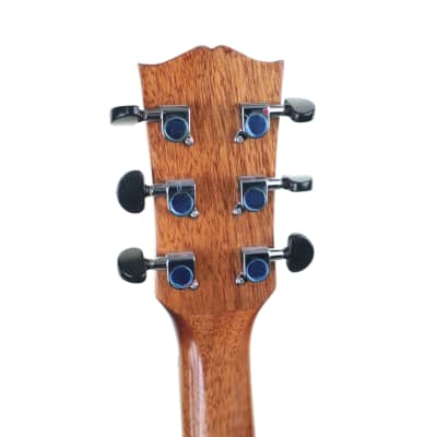 Sheridan BF501E-NA Electro Acoustic Guitar image 8