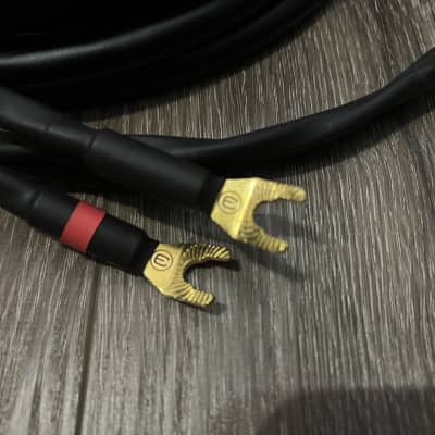 Canare 4S11 Star-Quad Speaker Cable Pair with Eminence Gold Spade