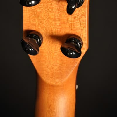 Oli L2 CSR Spruce/Rosewood 2025 - Natural Highgloss image 6