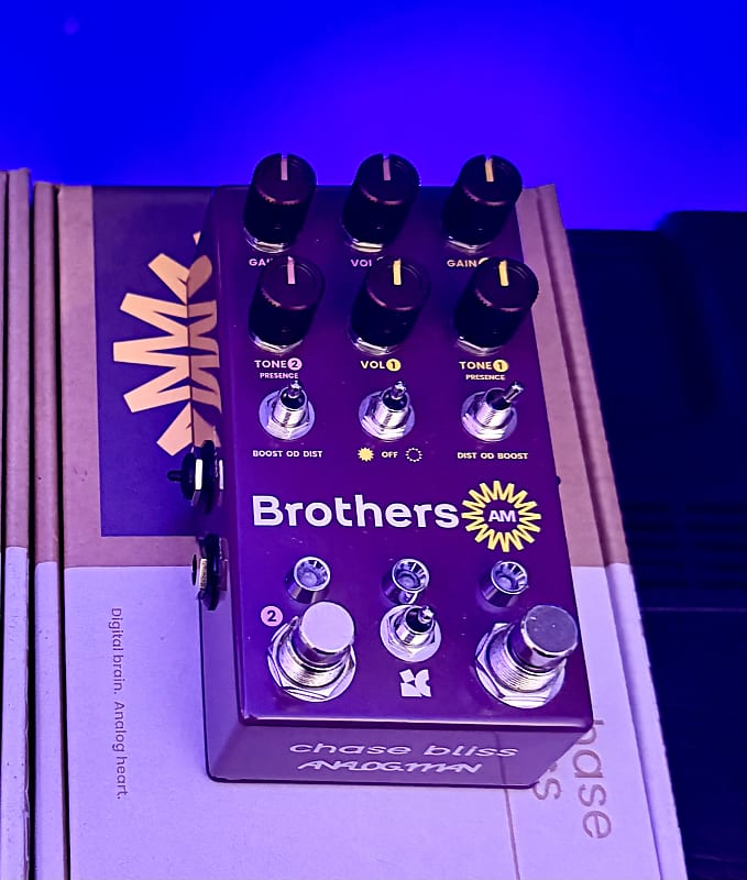 Chase Bliss Audio Brothers AM