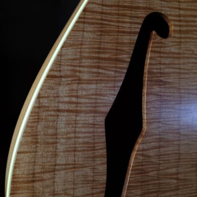 Rob Allen Guitars Deep 5 fretless bass guitar w G&G OHSC (7.5 pounds, Brazilian rosewood) image 9