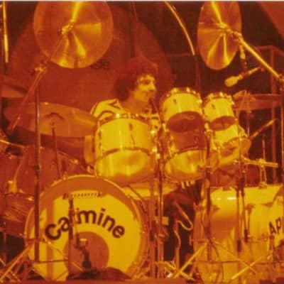 Carmine Appice's Sabian 19.5" Prototype China (CA2 #8) Autographed!! image 3