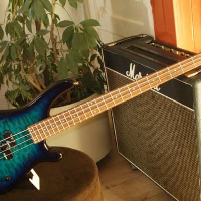 Fernandes FRB-42 Revolver Bass | Reverb