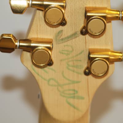 ESP ESP Horizon Green Electric Guitar image 9