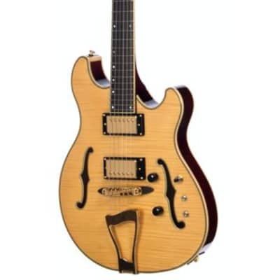 Eastwood CLASSIC 6 TA PH Double Cutaway Design Compact Fully Hollow 6-String Electric Guitar w/Hardshell Case image 1
