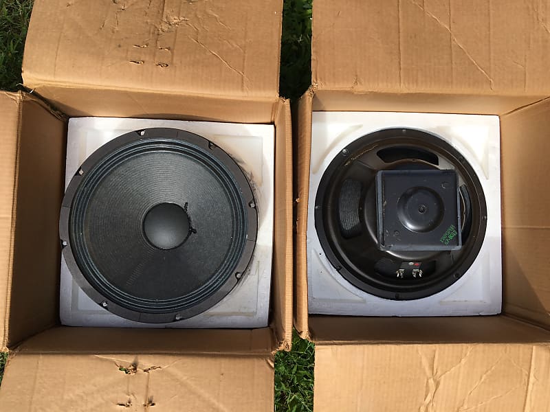 Eminence 12" speakers Reverb