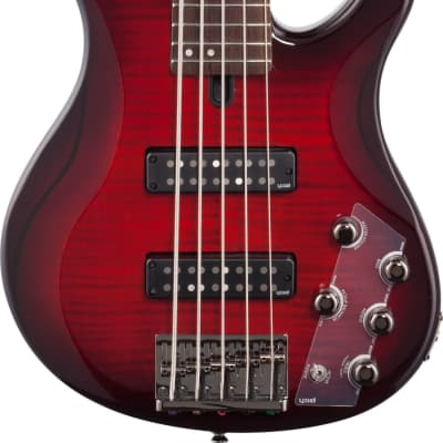 Yamaha TRBX605FM 5-String Bass Guitar, Flamed Maple, Dark Red