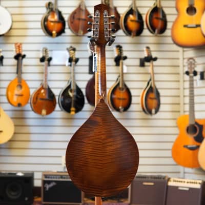 Northfield NFM-A5 Model M Engelmann Spruce/Figured Maple A-Style Mandolin Amber Top w/Hard Case image 6