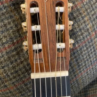 7-String Classical Concert Guitar by Michael Gee 2015 image 3