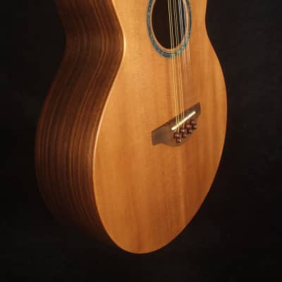 Bruce Wei Solid Indian Rosewood 8 String Tenor Guitar, MOP Vine Inlay TG-2045 image 4