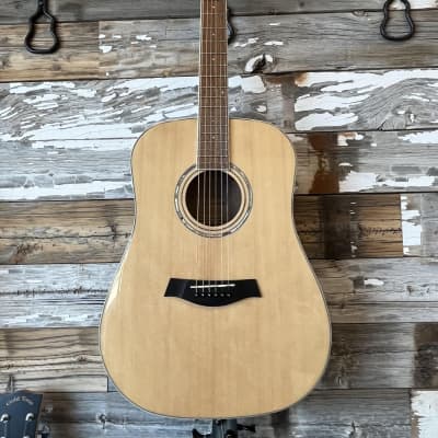 Wood Song D-NA Dreadnought Acoustic Guitar w/ gig bag for sale