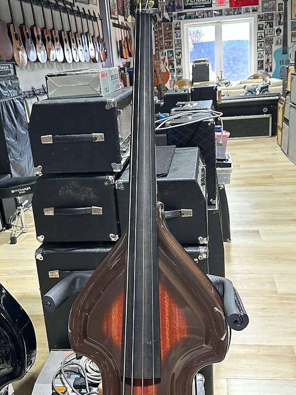 Ampeg Baby bass - The LowEnd Bass Shop