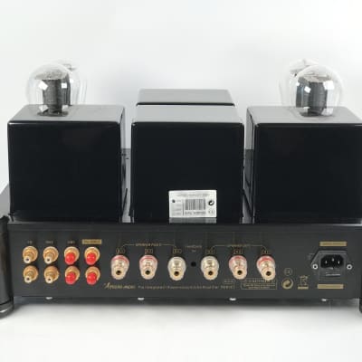 Ariand Audio Auklet 300B The integrated/Power vacuum tube Amplfier image 13