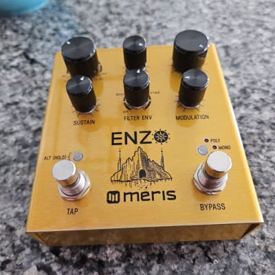 Meris Enzo | Reverb