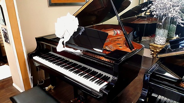 Yamaha c5x on sale