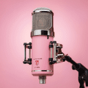 Eden LT-386 Limited Edition Pink Cerakote (100% Proceeds For Cancer Research)