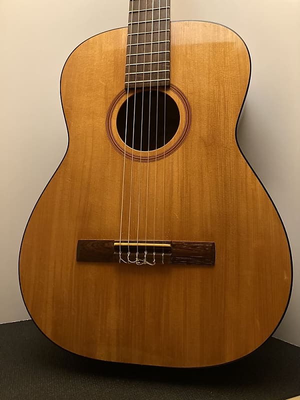 Goya G-10 Concert Size Classical Guitar with Case - 1968 image 1