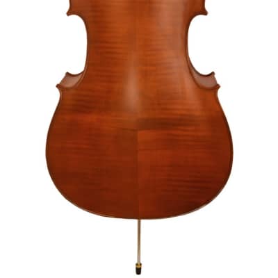 Vivace VC-200-3/4 Solid Spruce Top 3/4 Size Advanced Student Cello w/Soft Case & Bow image 2