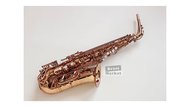 Saxo alto Wood Stone Ishimori Super Custom VL image 1