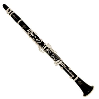Herbert Wurlitzer No.185 (A/Bセット)