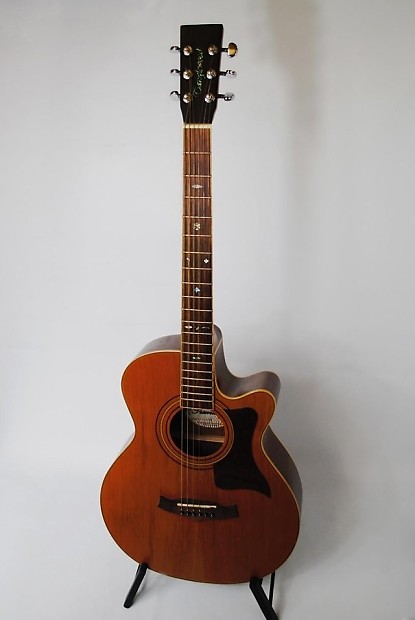 Tanglewood tw hotsell 300