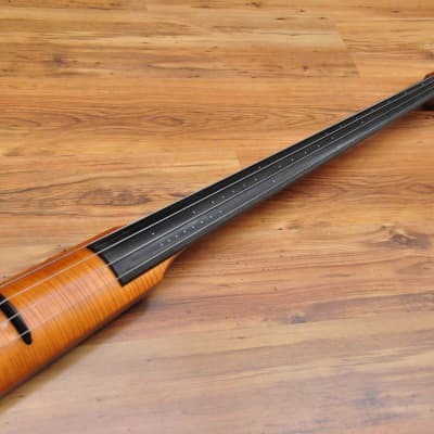 NS Design CR4 Double Bass Amber image 3