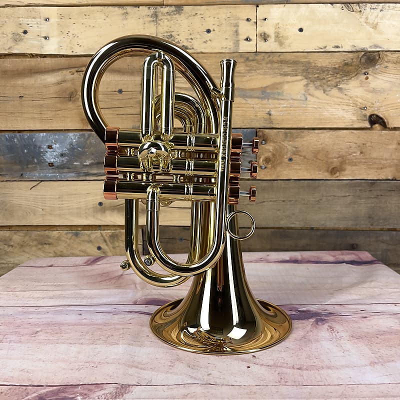 Carol Brass Taylor Phat Puppy Pocket Flugelhorn | Reverb