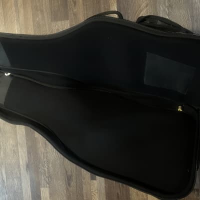 Parker guitars Gig bag LATER VERSION image 3