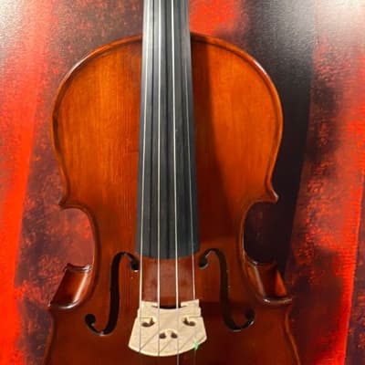 Carlo Robelli CR209 Violin (Tampa, FL) image 4