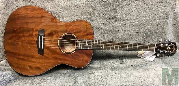 Washburn woodline 10 series new arrivals