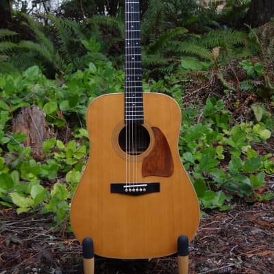1982 Ibanez Artwood AW80. Solid Spruce Top, Solid Rosewood