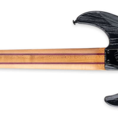 ESP LTD SN-1007HT 7-String Baritone Guitar, Ebony Fingerboard, Fireblast image 3