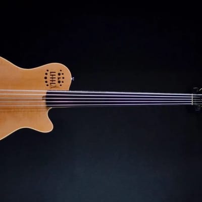 Godin A5 SA フレットレス Godin A5 Ultra 5-String Fretless Acoustic-Electric Bass