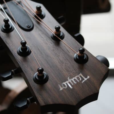 Taylor AD11e-SB, SOFTCASE image 5