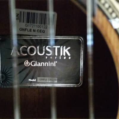 Giannini Classical  Acoustic / Electric Cut-a-way image 6