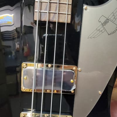 Epiphone Rex Brown Thunderbird Bass - Ebony w/ Hard Case image 6