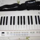 Roland Lucina AX-09 Keytar Synthesizer