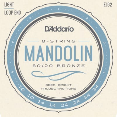 D'Addario EJ62 80/20 Bronze Mandolin Strings, Light, 10-34 image 1