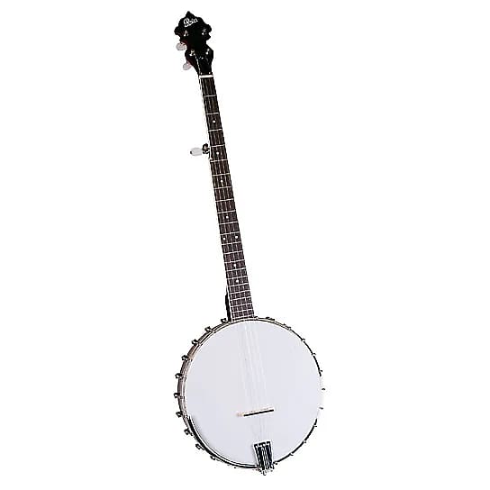 Rover RB-110 Front Porch Student 5-String Openback Banjo image 1