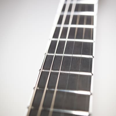 Victum Guitars Verus Zebra 2021 Natural, burst Custom USA made image 6
