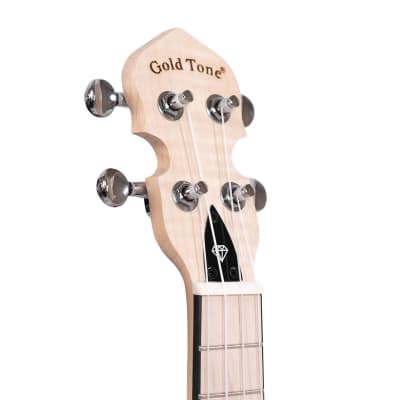 Gold Tone Little Gem Acrylic Concert Banjolele - Ruby image 8