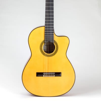 Pavan  TP-30 Acoustic Cutaway Spanish Classical Guitar- All Solid Woods, Handcrafted in Spain for sale